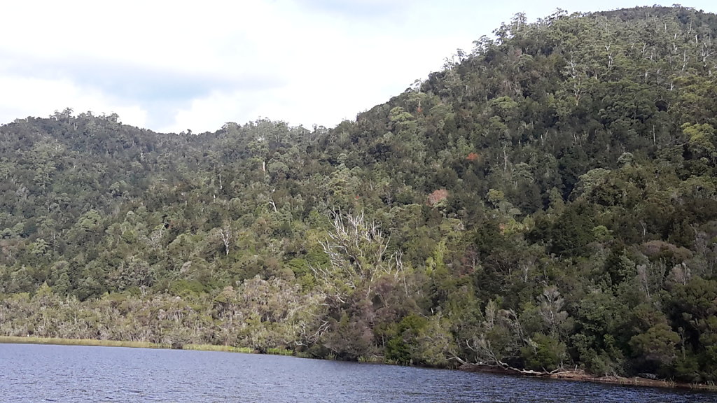 Side-of-First-Gorge-Gordon-River-Tas.jpg